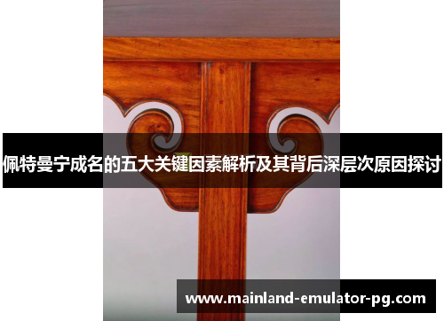 佩特曼宁成名的五大关键因素解析及其背后深层次原因探讨