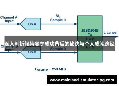 深入剖析佩特曼宁成功背后的秘诀与个人成就路径