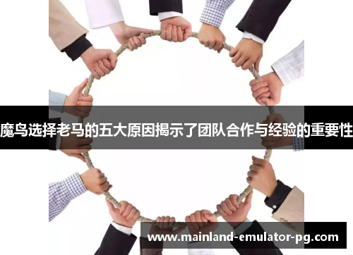 魔鸟选择老马的五大原因揭示了团队合作与经验的重要性