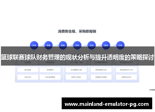 篮球联赛球队财务管理的现状分析与提升透明度的策略探讨 篮球联赛球队财务管理的现状分析与提升透明度的策略探讨