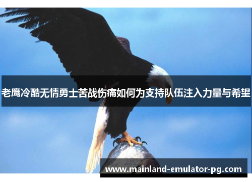 老鹰冷酷无情勇士苦战伤痛如何为支持队伍注入力量与希望 老鹰冷酷无情勇士苦战伤痛如何为支持队伍注入力量与希望
