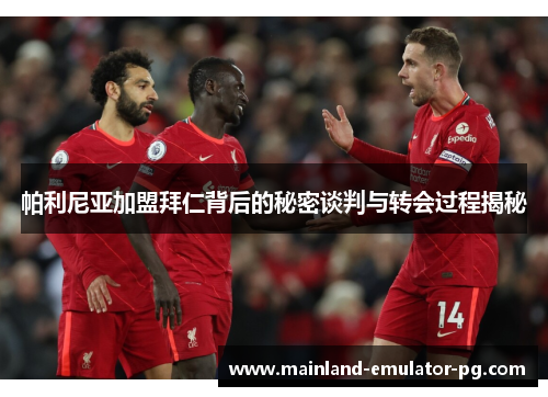 帕利尼亚加盟拜仁背后的秘密谈判与转会过程揭秘