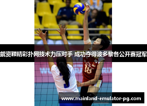 戴资颖精彩扑网技术力压对手 成功夺得波多黎各公开赛冠军